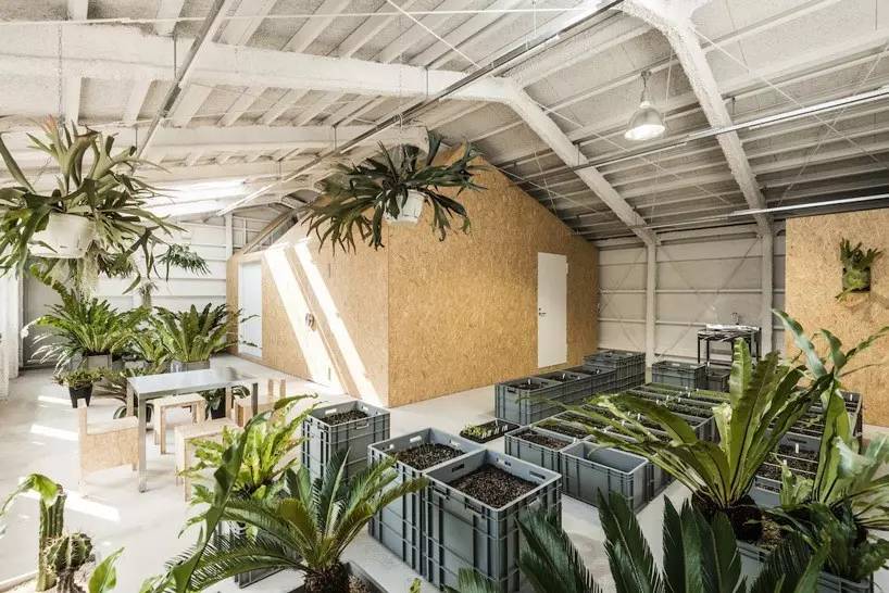 工廠改造為藝術(shù)家工作室_文化_網(wǎng)