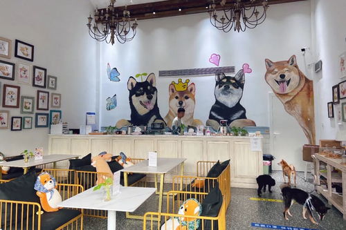 身邊的美學空間 蘇州這幾處公共文化體驗空間，文藝小資且充滿藝術靈感